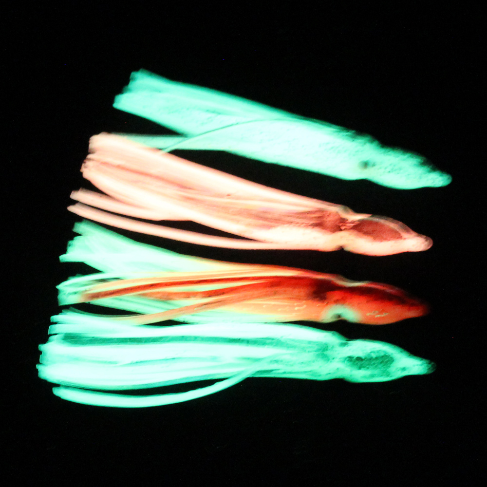 10 señuelos de calamar de sili - Fishing Lure Buzzbait reseña y precio