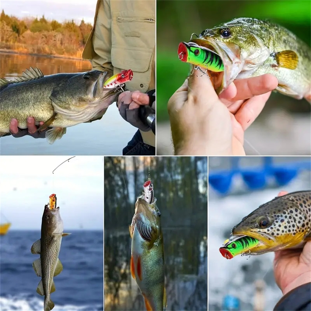 5 uds Señuelos de pesca Popper - Fishing Lure Popper reseña y precio